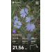  Hochgeladen am 28.06.2026 00:00:00Морякова Дарья 