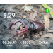  Загрузка от 29.06.2026 00:00:00 Проскурина Эльвира 