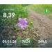  Загрузка от 30.06.2026 00:00:00 Проскурина Эльвира 