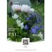  Hochgeladen am 03.07.2026 00:00:00Любовь Александровна 