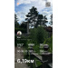  Hochgeladen am 04.07.2026 00:00:00Логиновских Ксения 