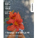  Hochgeladen am 07.07.2026 00:00:00Березовская Екатерина 