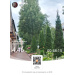  Hochgeladen am 09.07.2026 00:00:00Любовь Александровна 