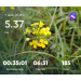  Hochgeladen am 09.07.2026 00:00:00Сергеева Дарья 