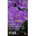  Hochgeladen am 10.07.2026 00:00:00Морякова Дарья 