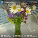  Hochgeladen am 12.07.2026 00:00:00Никитина Надежда 
