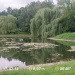  Hochgeladen am 16.07.2026 00:00:00Колупаева Екатерина 