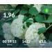  Hochgeladen am 15.07.2026 00:00:00Проскурина Эльвира 