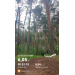  Hochgeladen am 17.07.2026 00:00:00Хабибулхакова Гульфия 