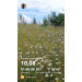  Hochgeladen am 19.07.2026 00:00:00Курицина Надежда 