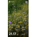  Hochgeladen am 22.07.2026 00:00:00Морякова Дарья 