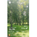 Hochgeladen am 25.07.2026 00:00:00Галлямова Лейсан 