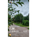  Hochgeladen am 26.07.2026 00:00:00Курицина Надежда 