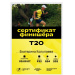  Hochgeladen am 26.07.2026 00:00:00Колупаева Екатерина 
