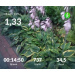  Hochgeladen am 28.07.2026 00:00:00Проскурина Эльвира 