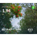  Hochgeladen am 29.07.2026 00:00:00Проскурина Эльвира 