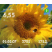  Hochgeladen am 31.07.2026 00:00:00Проскурина Эльвира 