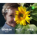  Hochgeladen am 31.07.2026 00:00:00Проскурина Эльвира 