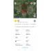  Hochgeladen am 05.08.2026 00:00:00Иванов Олег 