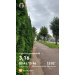  Hochgeladen am 06.08.2026 00:00:00Курицина Надежда 