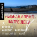  Hochgeladen am 11.08.2026 00:00:00Егошин Евгений 