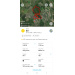 Hochgeladen am 12.08.2026 00:00:00Иванов Олег 