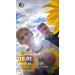  Hochgeladen am 16.08.2026 00:00:00Сапунова Анастасiя А♡А 
