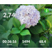  Hochgeladen am 13.08.2026 00:00:00Проскурина Эльвира 