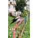  Hochgeladen am 17.08.2026 00:00:00Курицина Надежда 