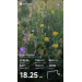  Hochgeladen am 30.08.2026 00:00:00Морякова Дарья 