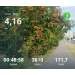  Hochgeladen am 02.09.2026 00:00:00Проскурина Эльвира 