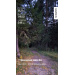  Hochgeladen am 03.09.2026 00:00:00Камаев Борис 
