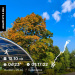  Hochgeladen am 16.09.2026 00:00:00Вершинина Ольга 