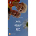  Hochgeladen am 18.09.2026 00:00:00Сапунова Анастасiя А♡А 