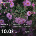  Hochgeladen am 23.09.2026 00:00:00Калмыкова Дарья 