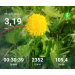  Hochgeladen am 25.09.2026 00:00:00Проскурина Эльвира 