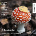 Hochgeladen am 26.09.2026 00:00:00Симонова Ольга 