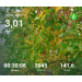  Hochgeladen am 26.09.2026 00:00:00Проскурина Эльвира 