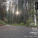  Hochgeladen am 26.09.2026 00:00:00Ципуштанова Ксения 