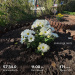  Hochgeladen am 30.09.2026 00:00:00Скребова Елена 