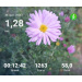  Hochgeladen am 30.09.2026 00:00:00Проскурина Эльвира 