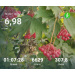  Hochgeladen am 30.09.2026 00:00:00Проскурина Эльвира 