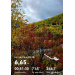  Hochgeladen am 01.10.2026 00:00:00Мартемьянова Анастасия 