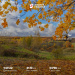  Hochgeladen am 02.10.2026 00:00:00Васильев Эдуард 