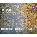  Загрузка от 05.10.2026 00:00:00 Сергеева Дарья 