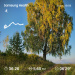  Hochgeladen am 08.10.2026 00:00:00Первушина Анна 