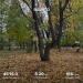  Hochgeladen am 13.10.2026 00:00:00Скребова Елена 