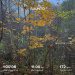  Hochgeladen am 14.10.2026 00:00:00Скребова Елена 