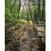  Hochgeladen am 24.10.2026 00:00:00Головко Яна 
