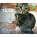  Hochgeladen am 08.04.2021 00:00:00Караулов Валентин 